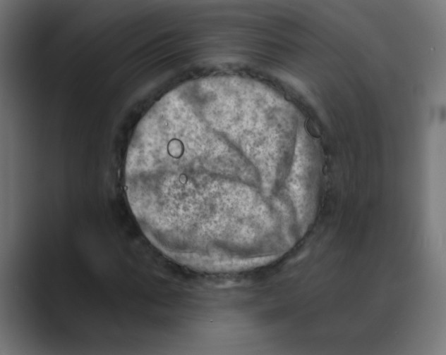 X0000088450871200706191309