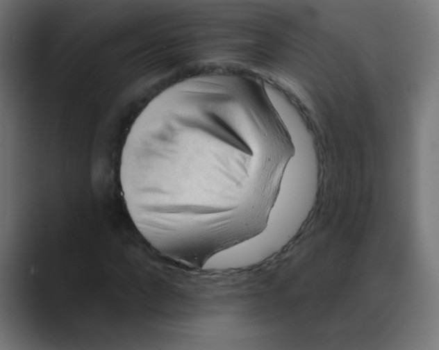 X0000088450872200706191309