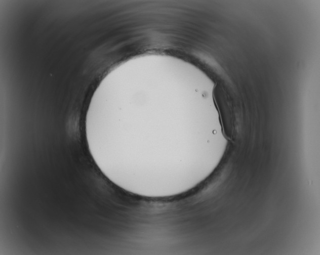 X0000088450873200706191309