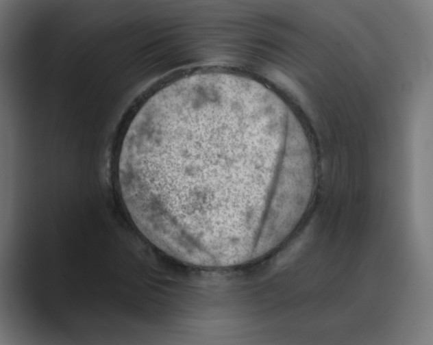 X0000088450875200706191309