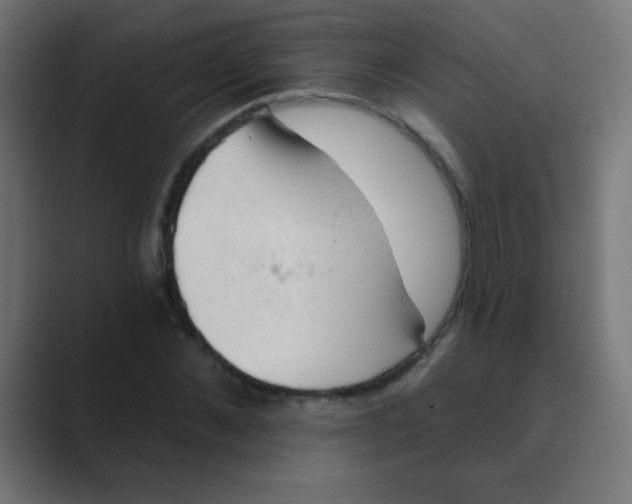 X0000088450876200706191309