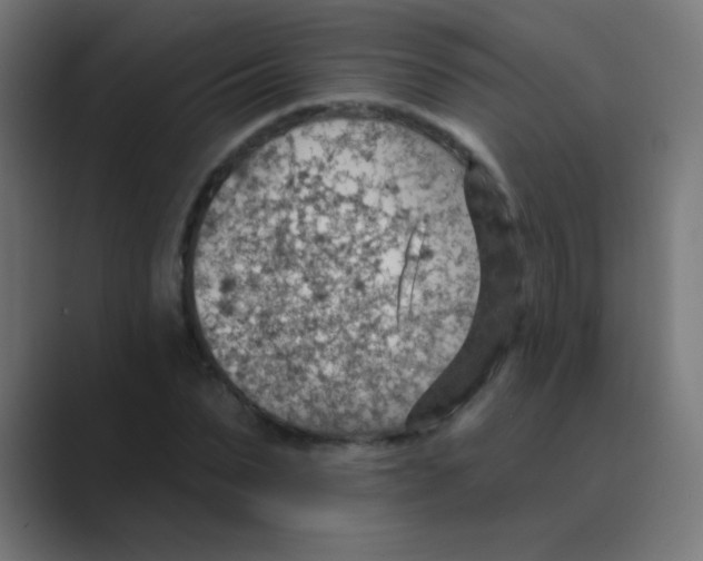 X0000088450879200706191309