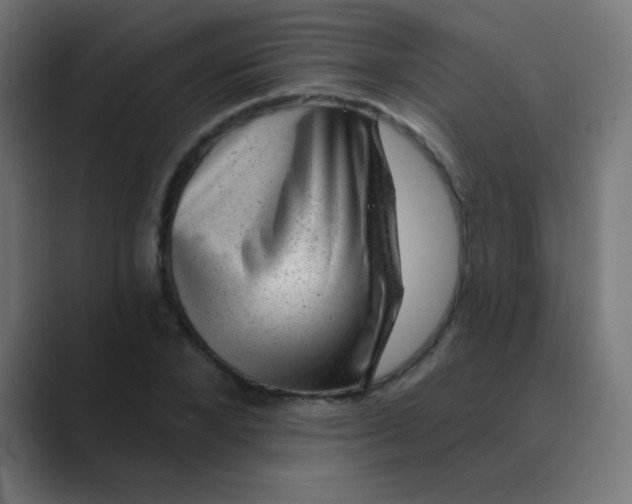 X0000088450880200706191309