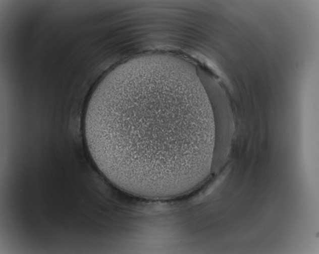 X0000088450881200706191309