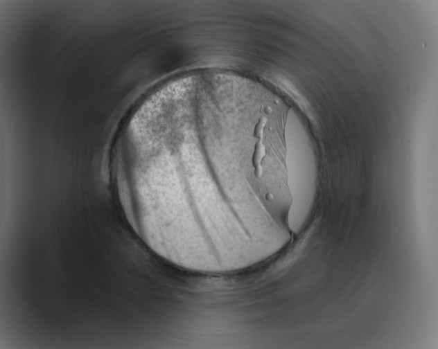 X0000088450883200706191309