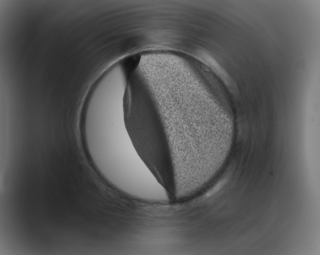 X0000088450885200706191309