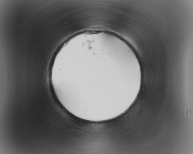 X0000088450888200706191309