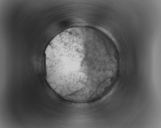 X0000088450889200706191309
