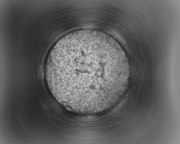 X0000088450891200706191309