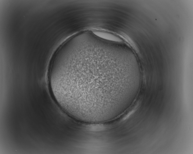 X0000088450893200706191309