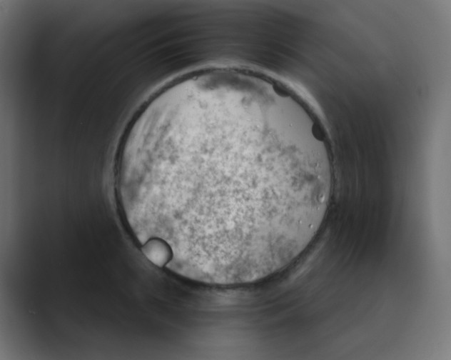X0000088450895200706191309