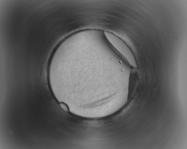 X0000088450896200706191309