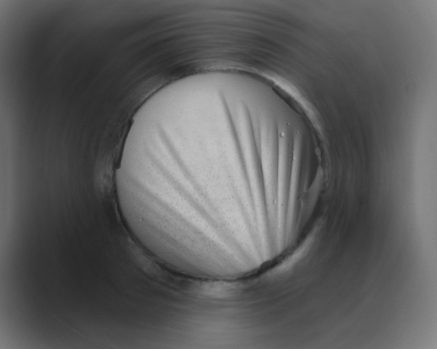 X0000088450897200706191309