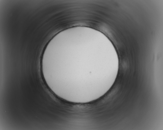 X0000088450898200706191309