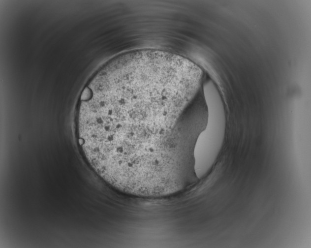 X0000088450899200706191309