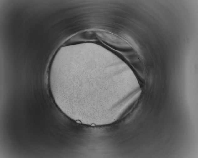 X0000088450900200706191309