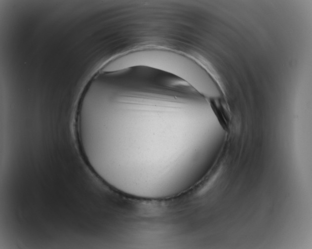 X0000088450901200706191309