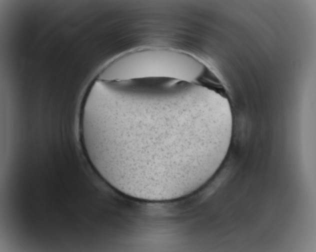X0000088450904200706191309