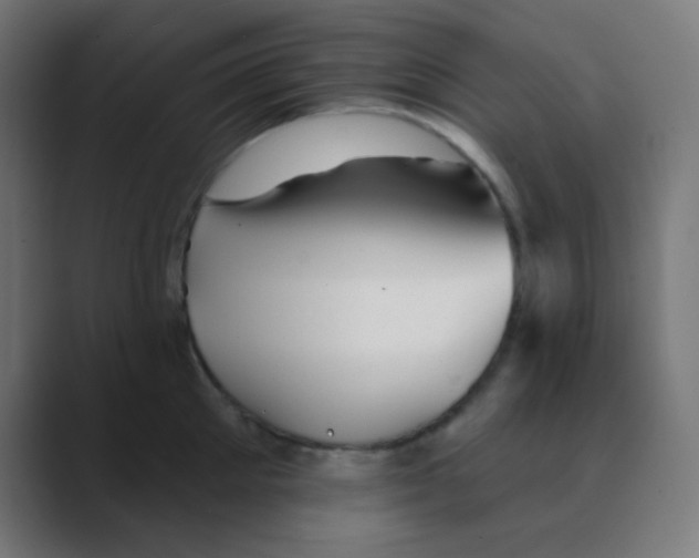 X0000088450905200706191309