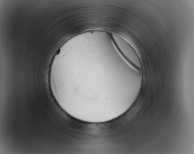 X0000088450906200706191309