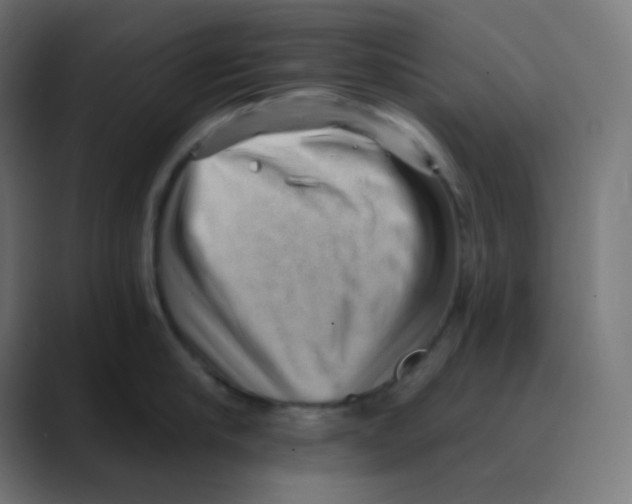 X0000088450910200706191309