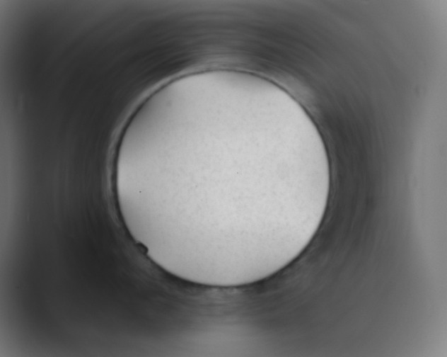 X0000088450912200706191309