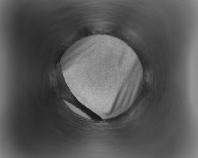 X0000088450915200706191308