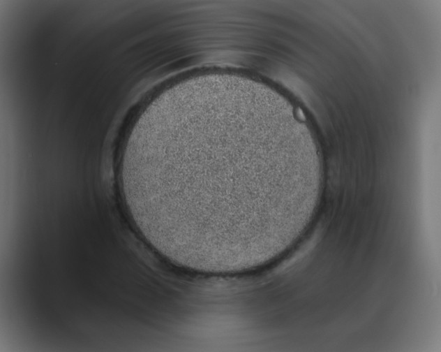X0000088450923200706191308