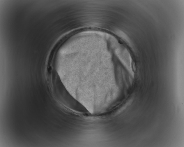 X0000088450924200706191308