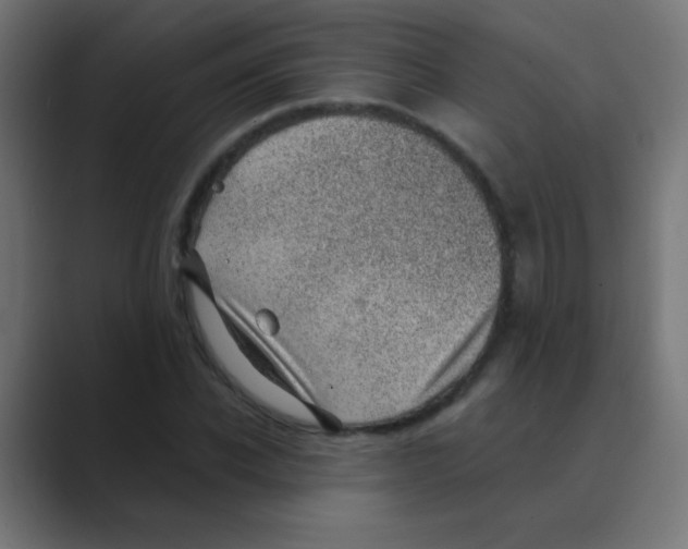 X0000088450926200706191308