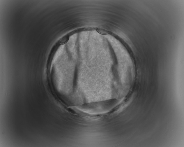 X0000088450928200706191308