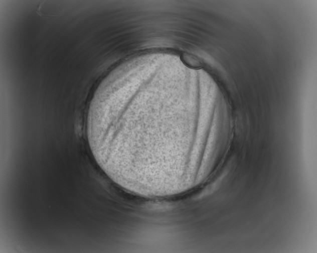X0000088450929200706191308