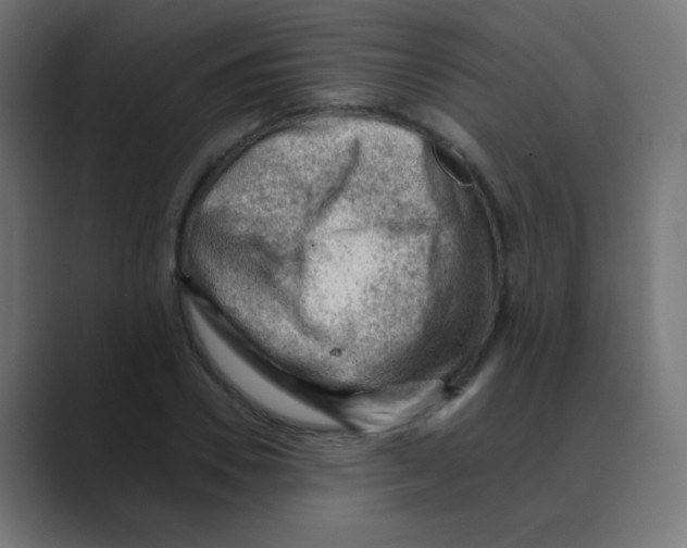 X0000088450930200706191308