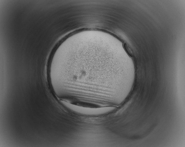 X0000088450932200706191308