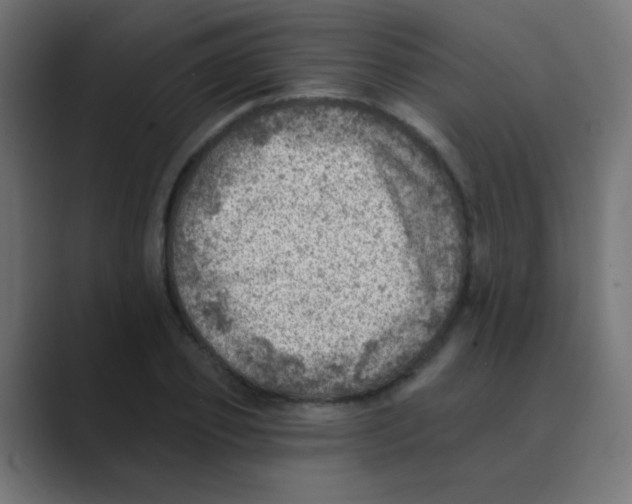 X0000088450933200706191308
