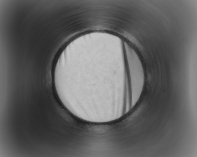 X0000088450934200706191308