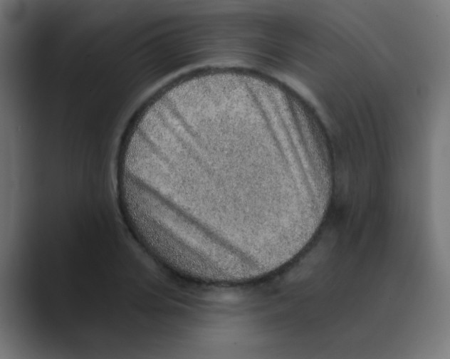 X0000088450935200706191308