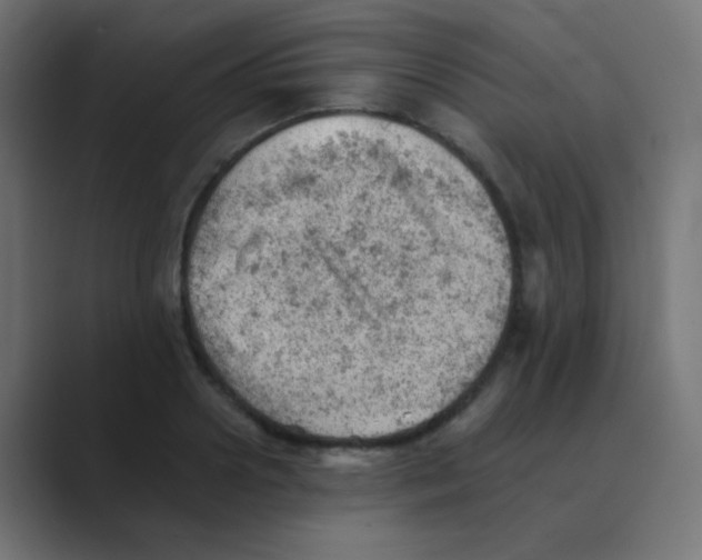 X0000088450938200706191308