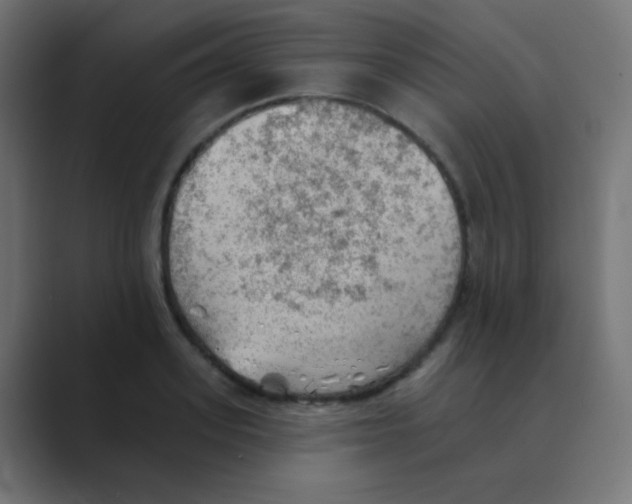 X0000088450939200706191308