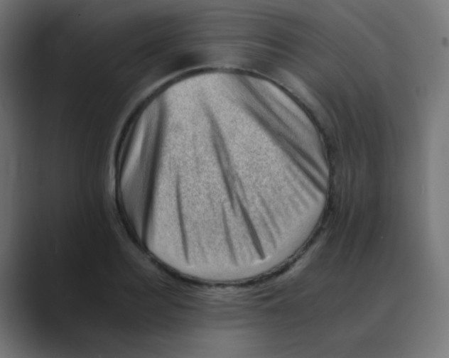 X0000088450940200706191308