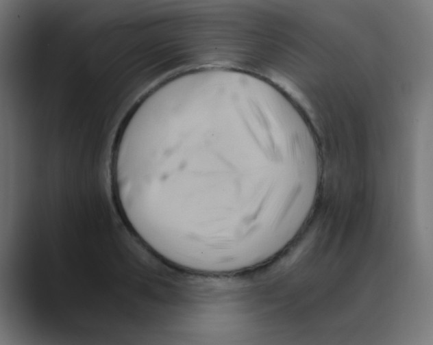 X0000088450941200706191309