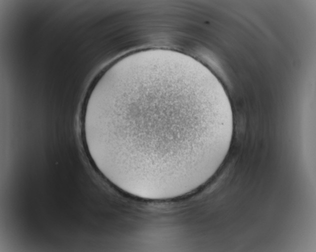 X0000088450944200706191309