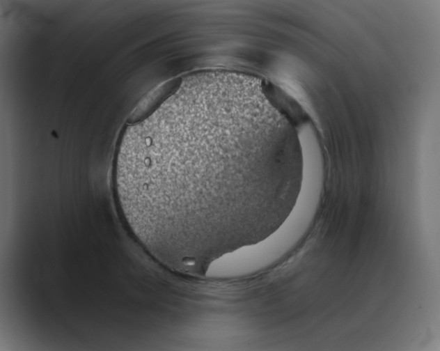 X0000088450946200706191309