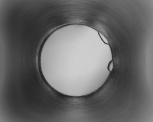X0000088450947200706191309