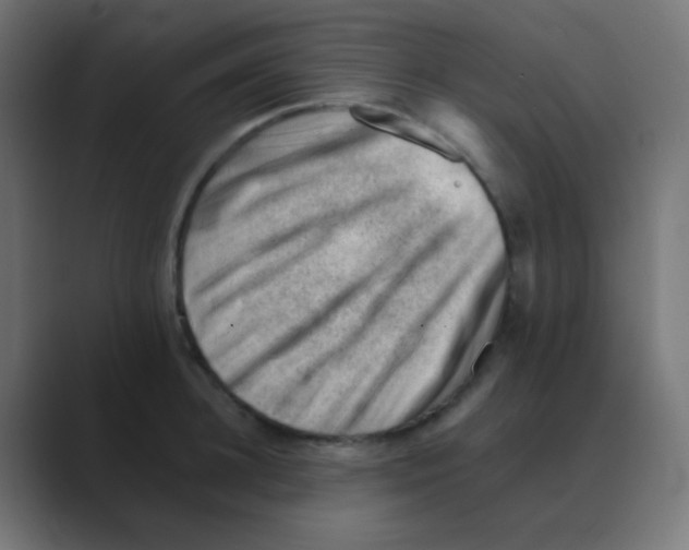X0000088450948200706191309