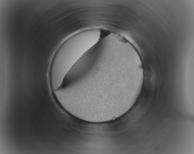 X0000088450951200706191309