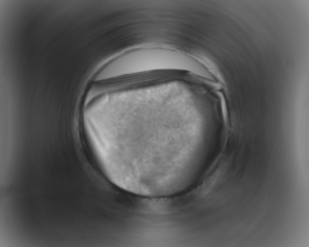 X0000088450952200706191309