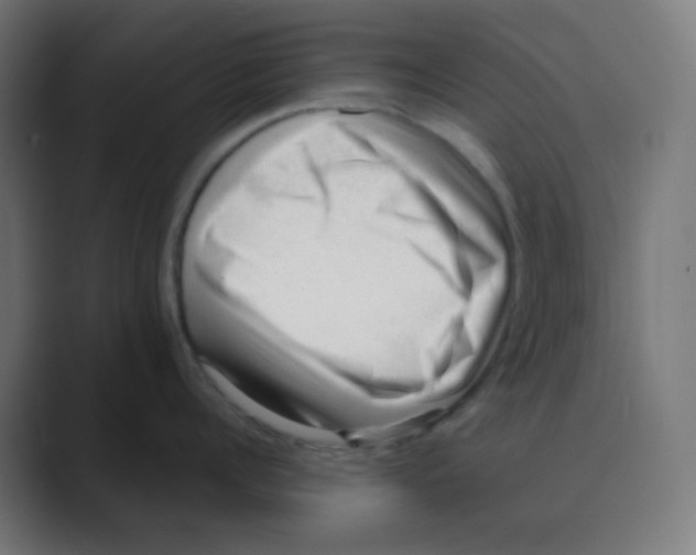 X0000088450960200706191309