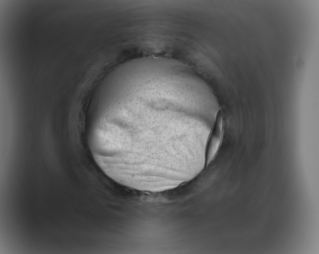 X0000088450961200706191308