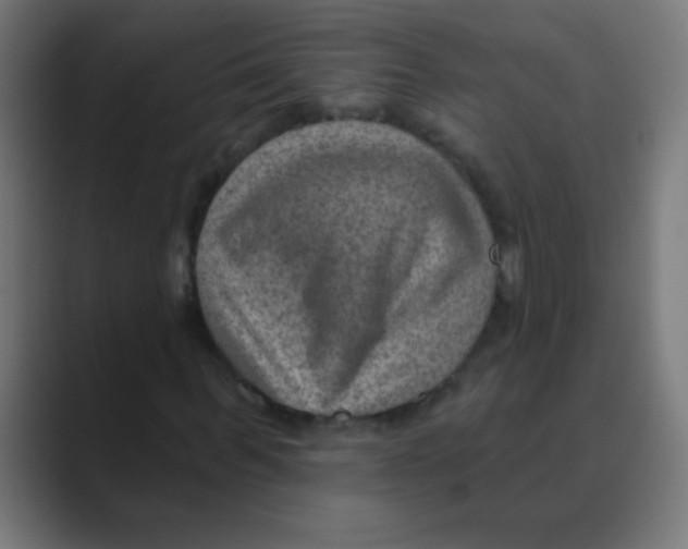X0000088450963200706191308